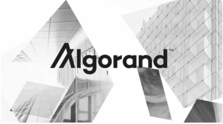 Algorand (ALGO) Posts Double-Digit Price Drops In Last 30 Days