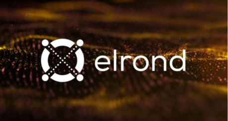 Elrond Network Watch: Consider This Before Filling Up Your Wallet With EGLD