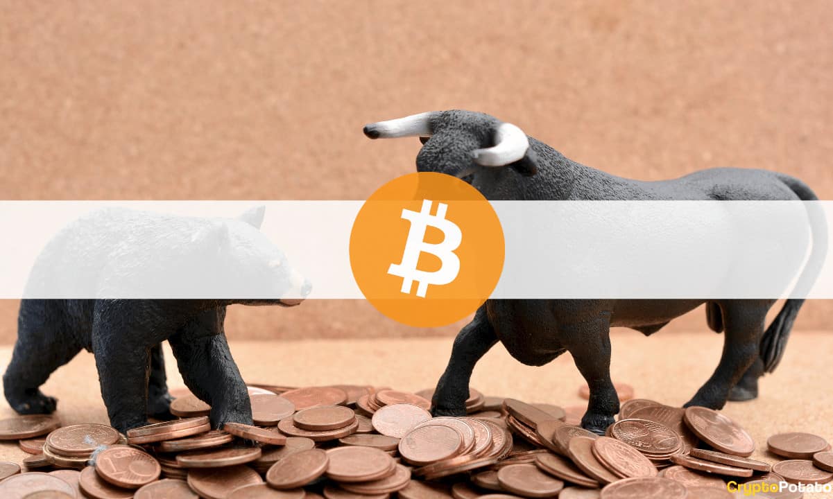 Pantera Capital CEO: Bitcoin’s Next Bull Market Is on its Way